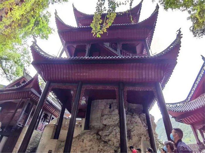 虫虫助手下载